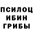 Галлюциногенные грибы мицелий Lina Koh