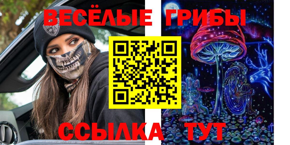 Галлюциногенные грибы Psilocybe Волоколамск